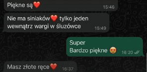 Opinia klientki Piekny Swiat